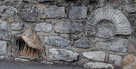 a stone wall with fossils